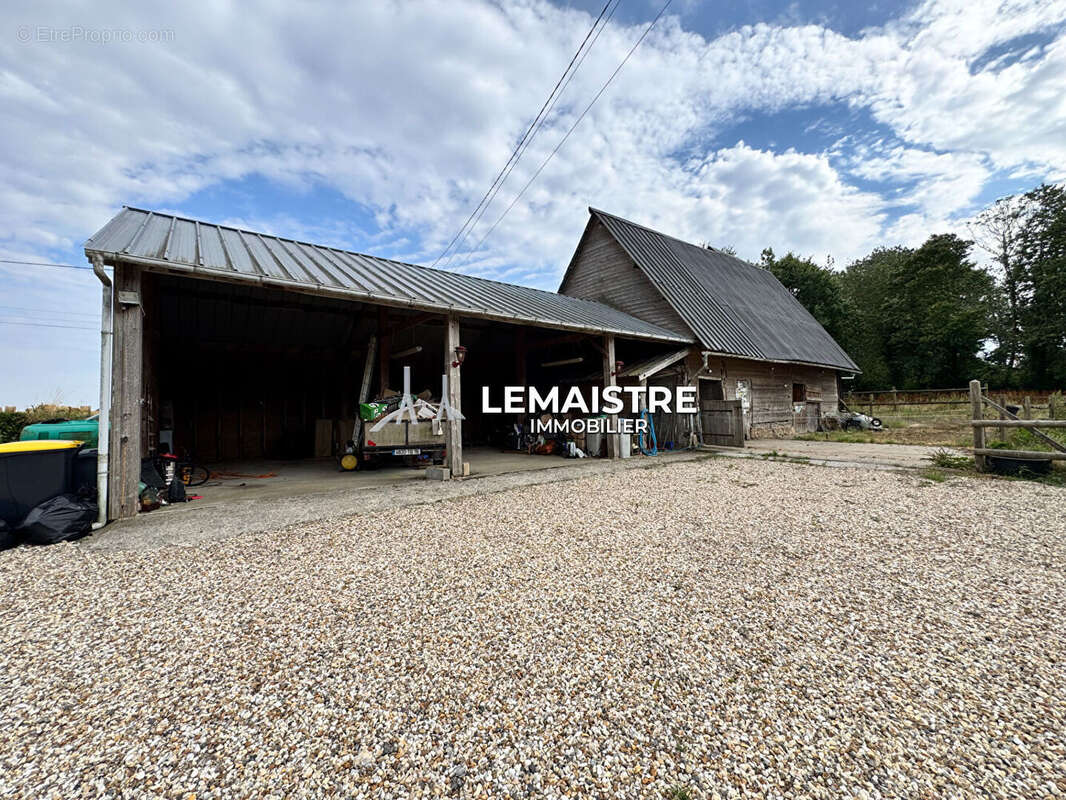 Entre GODERVILLE et TERRES-DE-CAUX - Maison de caractère 159 m² - 4 chambres - 11 000 m² - Dépendances et écuries - photo 2