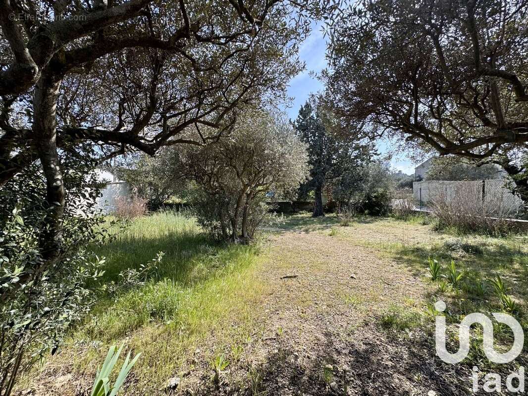 Photo 6 - Terrain à CAVAILLON