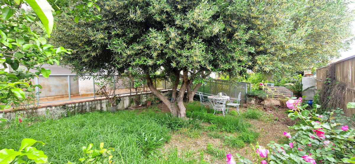 Maison à ILLE-SUR-TET