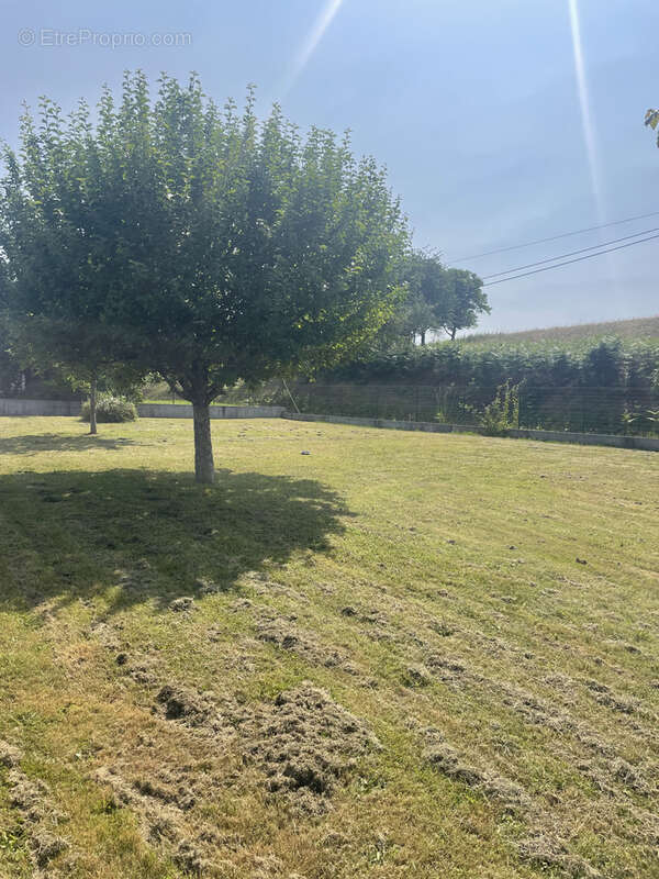 Maison à SAINT-DENIS-DES-MURS