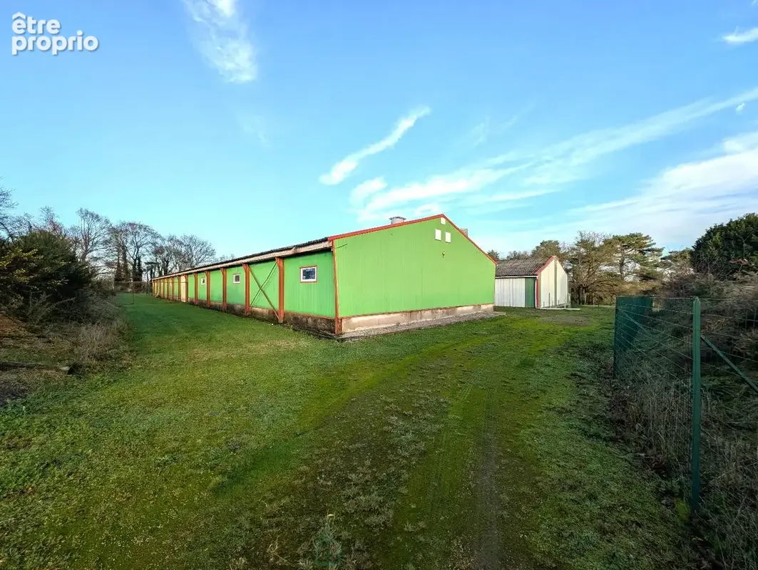 Propriété sur 27 hectares, maison 179 m2, bâtiments de 700 m2 salle de réception et 600 m2 garage - photo 7