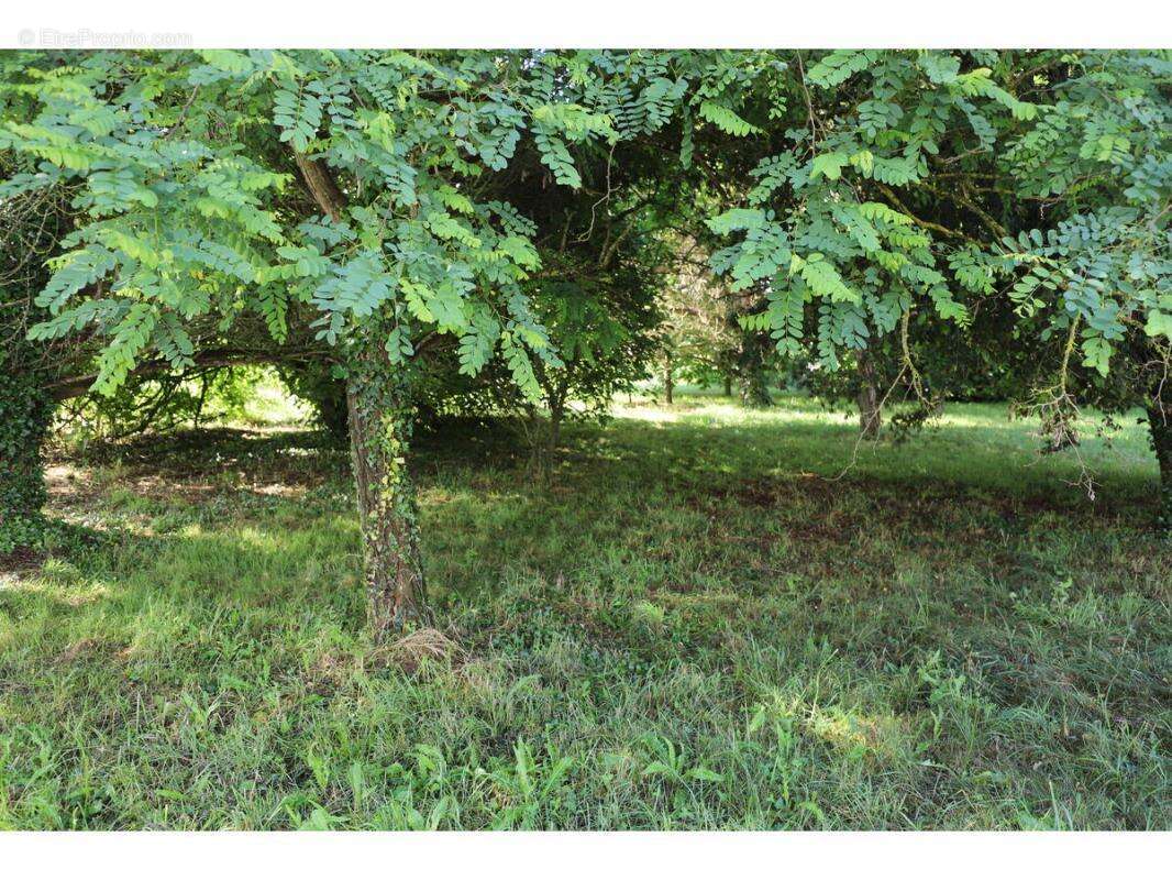 Terrain à SAINT-GEORGES-D'OLERON