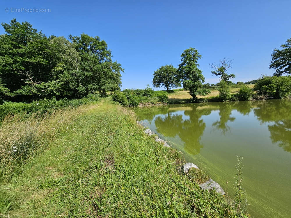 Autre à SAINT-PRIEST-LA-FEUILLE