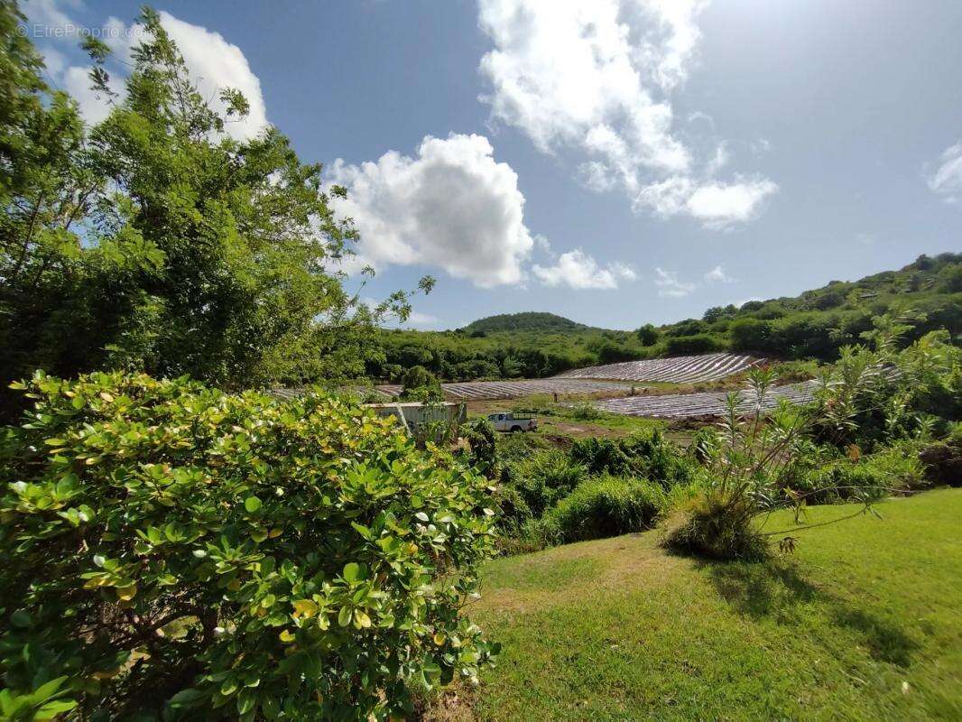 Maison à SAINTE-ANNE
