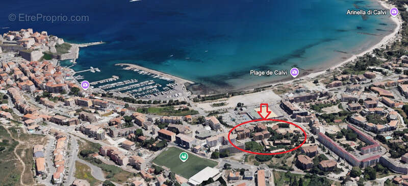 Appartement à CALVI