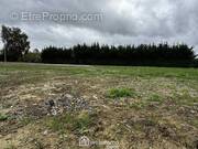 Ce beau terrain à bâtir de 606 m² offre un cadre idéal - Terrain à VERSIGNY