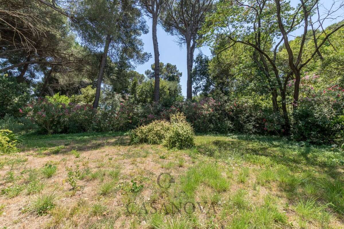 Maison familiale de plus de 270 m² avec parc arboré de 3 000 m² aux Arceaux à Montpellier - photo 5