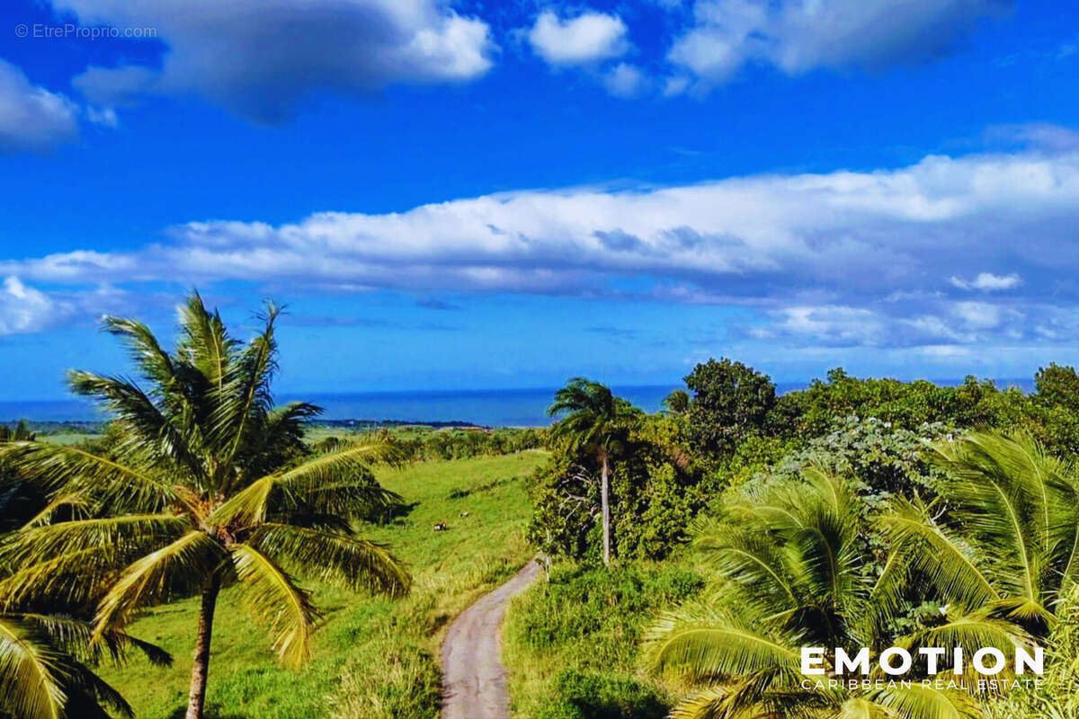 Maison à SAINTE-ROSE