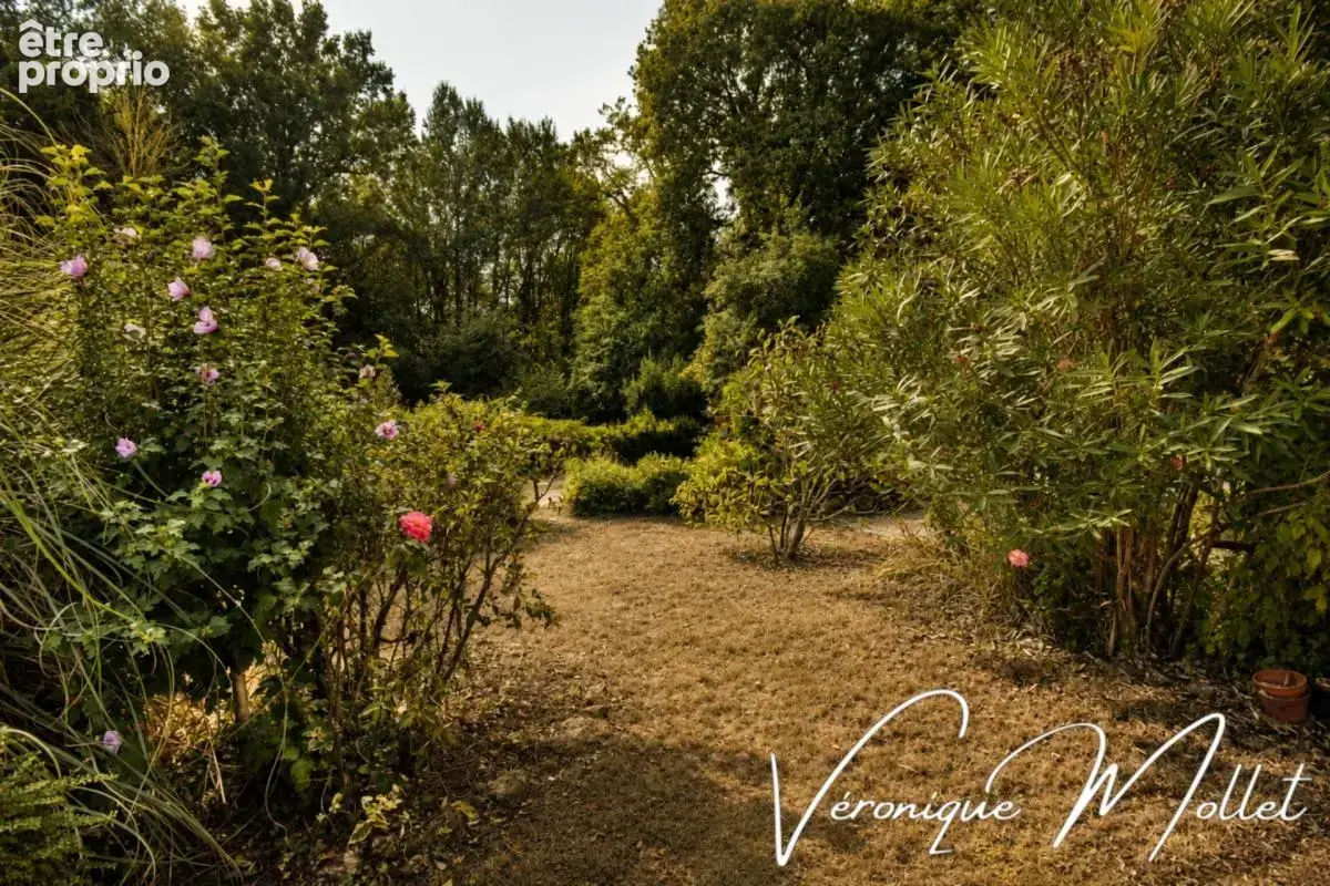 Lignan de bordeaux - aux portes de fargues st hilaire - sur 2591m2 et sur sous-sol integral - photo 6