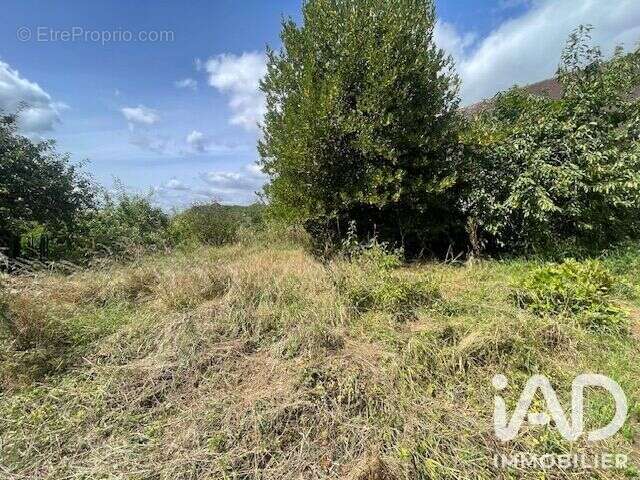 Terrain 500 m² à Conde-Sur-Sarthe  - photo 3
