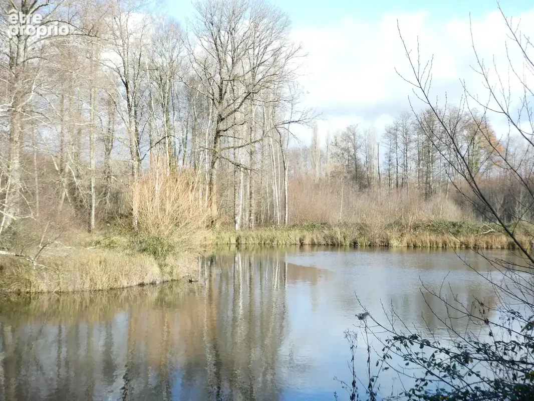 Maison sur propriété de 2ha avec étangs - photo 15