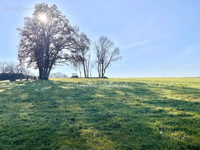 Maison à SAINT-PIERRE-DE-L&#039;ILE