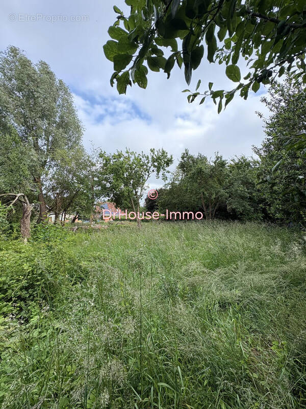 Terrain à LABEUVRIERE