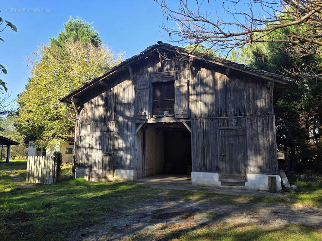 Maison à LINXE