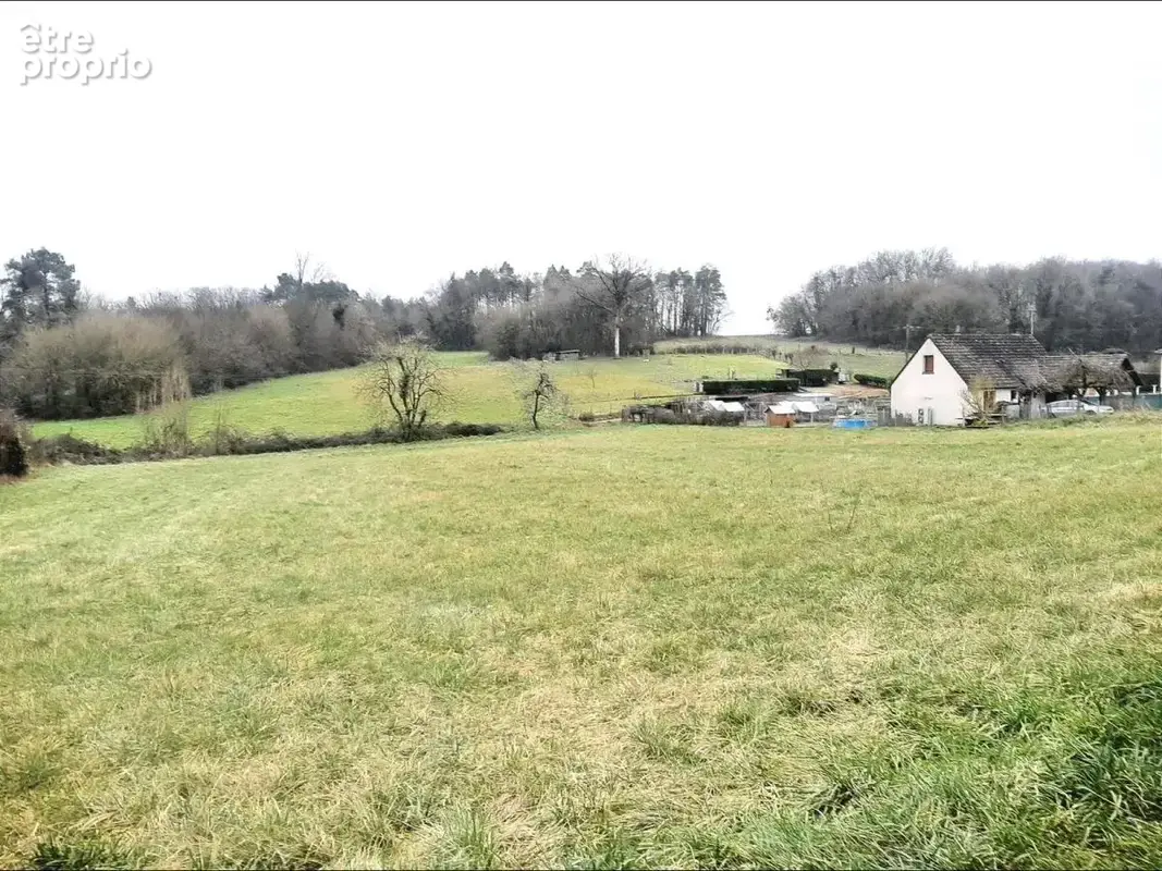 Terrain 5 063 m² à vendre à Neuil (37190) - photo 5