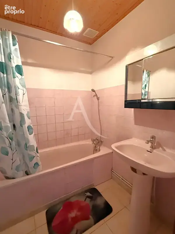 Maison saint julien des landes 3 pièces (44 m²) - photo 7