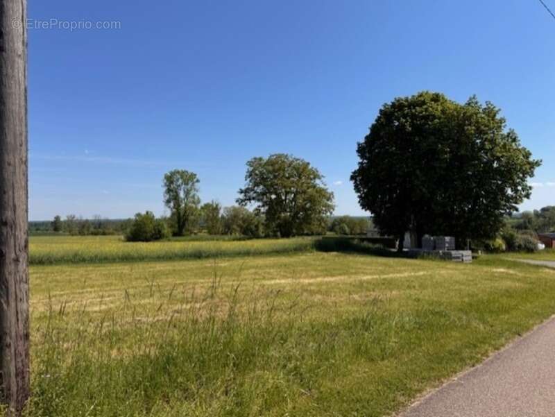 Terrain à BRANDEVILLE