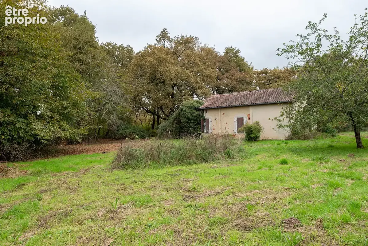 Maison de 90 m² à Rénover  Pouydesseaux - photo 15