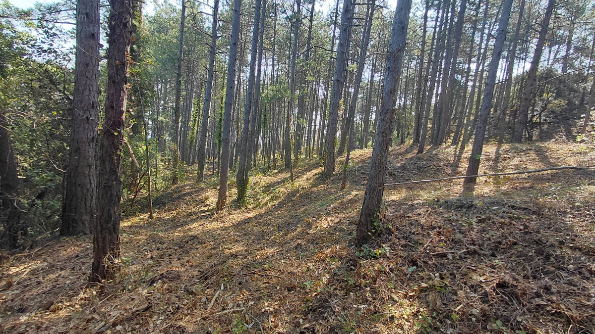 Terrain à BOURG-SAINT-ANDEOL