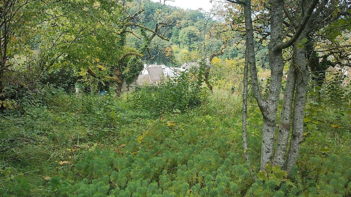 Photo 3 - Terrain à SALINS-LES-BAINS