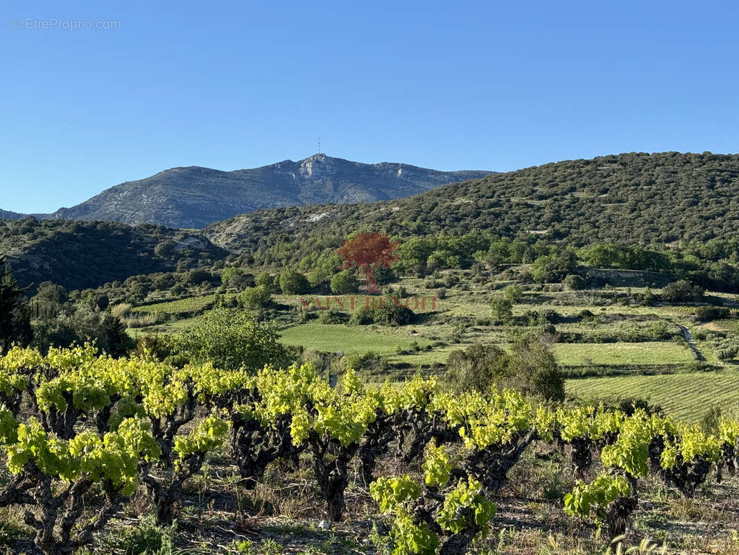 Terrain à MONTPEYROUX