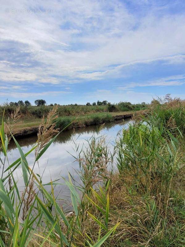 Terrain à SAINT-BONNET-SUR-GIRONDE