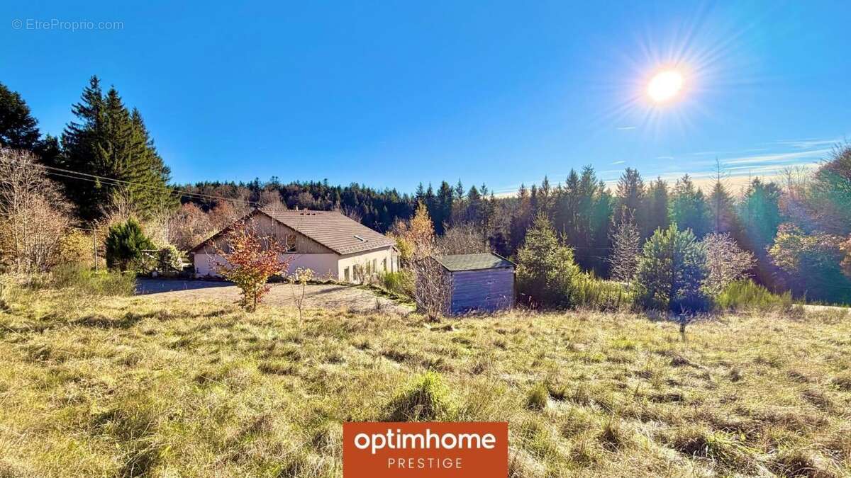 Domaine – 268 m² – 6 chambres et 6 salles de bain – Terrain 8 730 m² – Proche Gérardmer – Champdray - photo 2