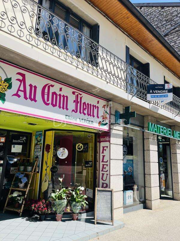 Commerce à MORESTEL