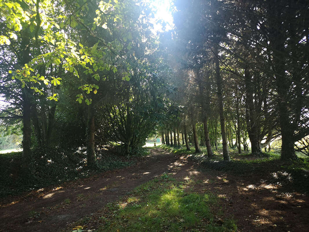 Maison à PLEINE-FOUGERES