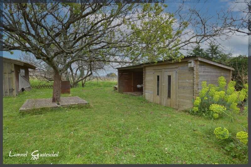 Maison à SAINT-QUENTIN-DE-CAPLONG