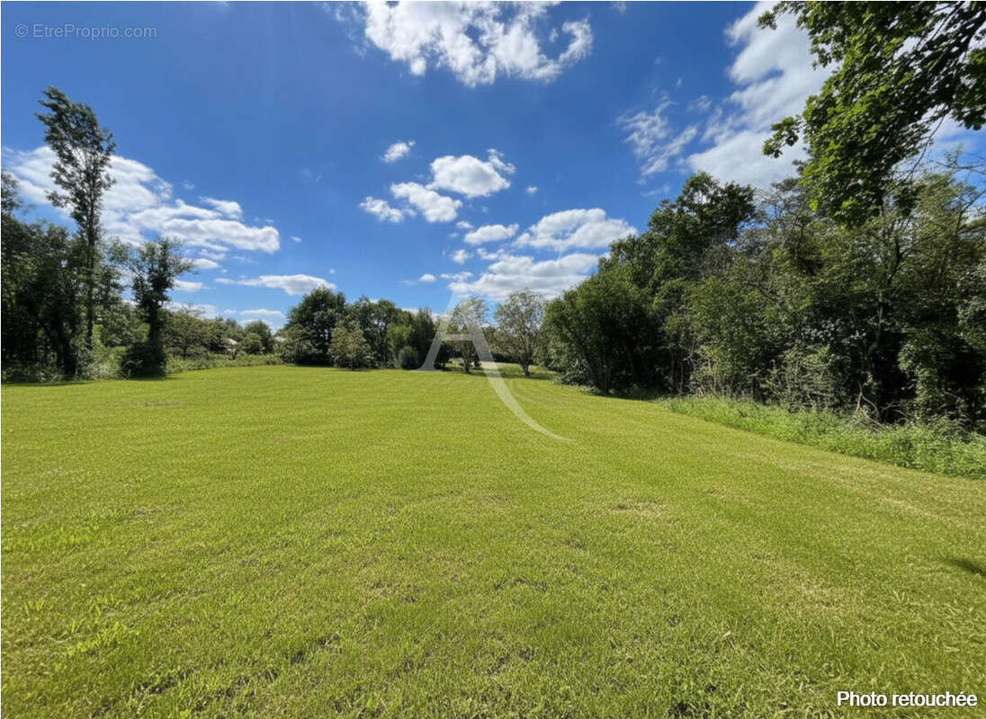 Terrain à Montdurausse de 3577 m² ! - photo 3