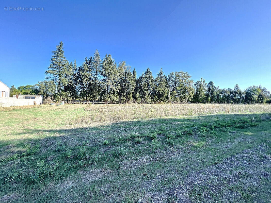 Terrain à SENAS