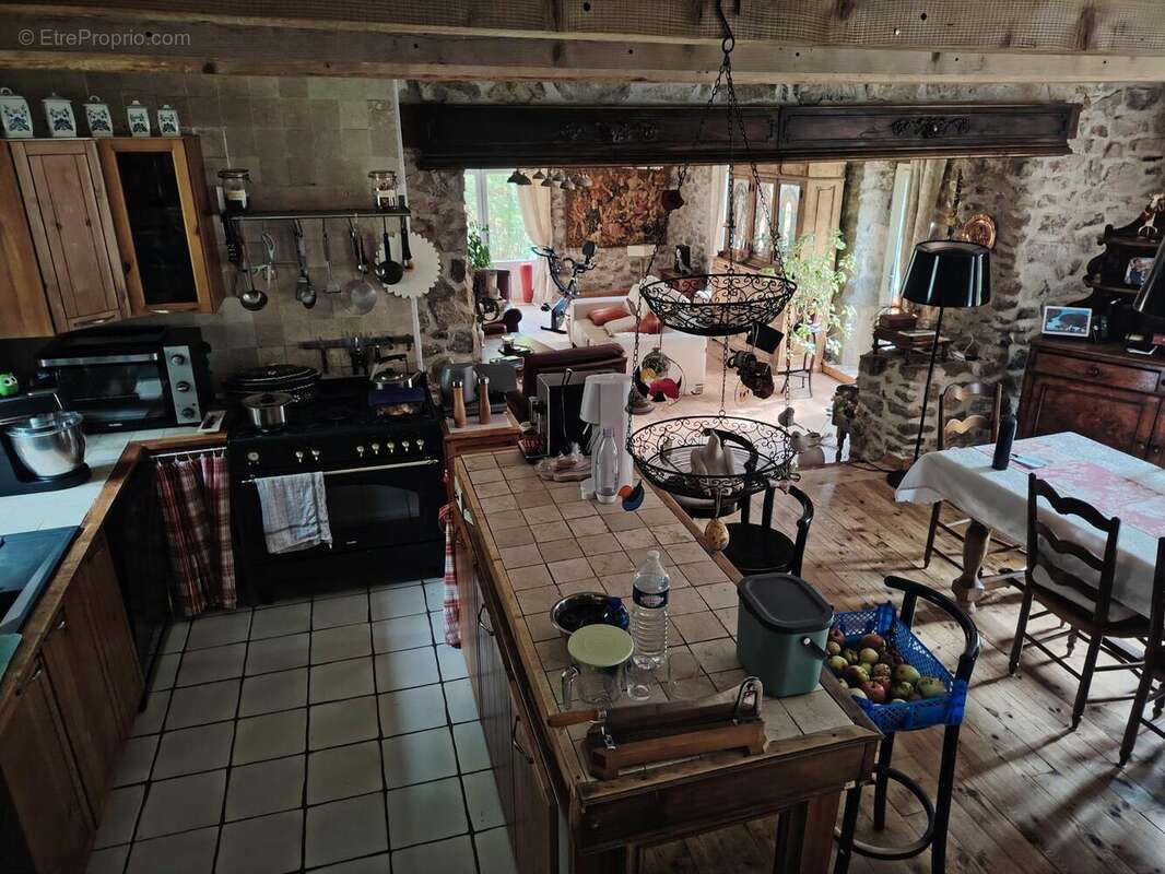 Maison 263 m² à Saint-Pierre-Sur-Doux  - photo 8