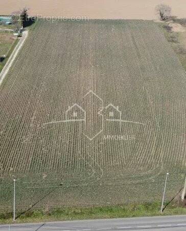 Terrain à BEAUREPAIRE