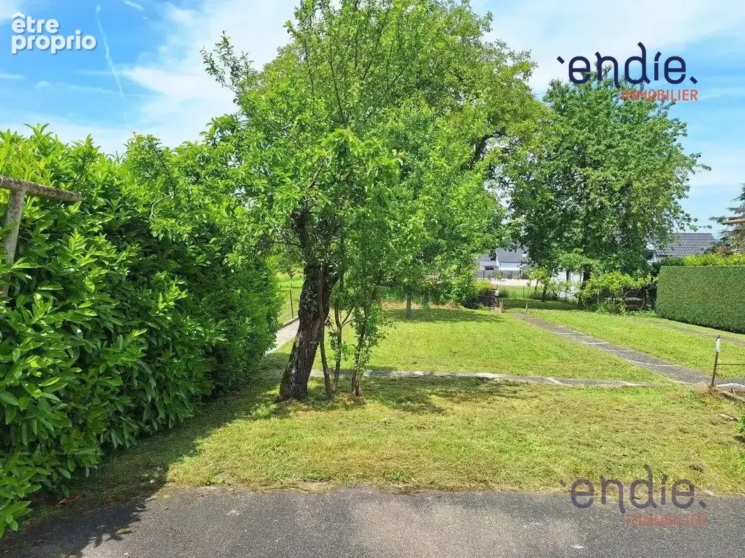 Maison 7 pièces 126 m² à vendre à Pfetterhouse (68480) - photo 3