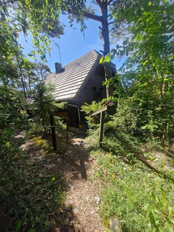 Maison 50 m² à Seyne  - photo 2
