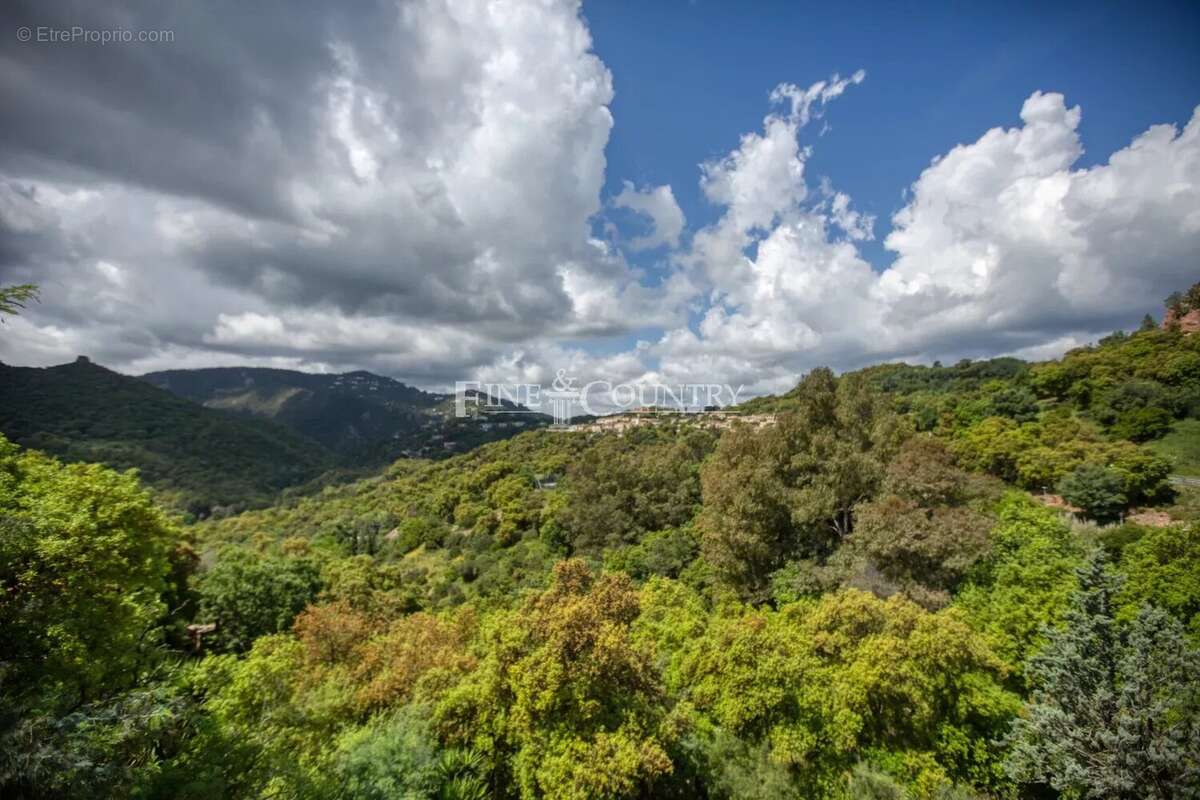 Maison à MANDELIEU-LA-NAPOULE