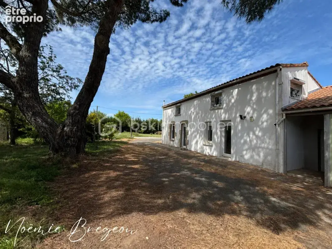 Maison en village - Travaux récents - Beau potentiel à développer - La Guyonnière (85600) - photo 1