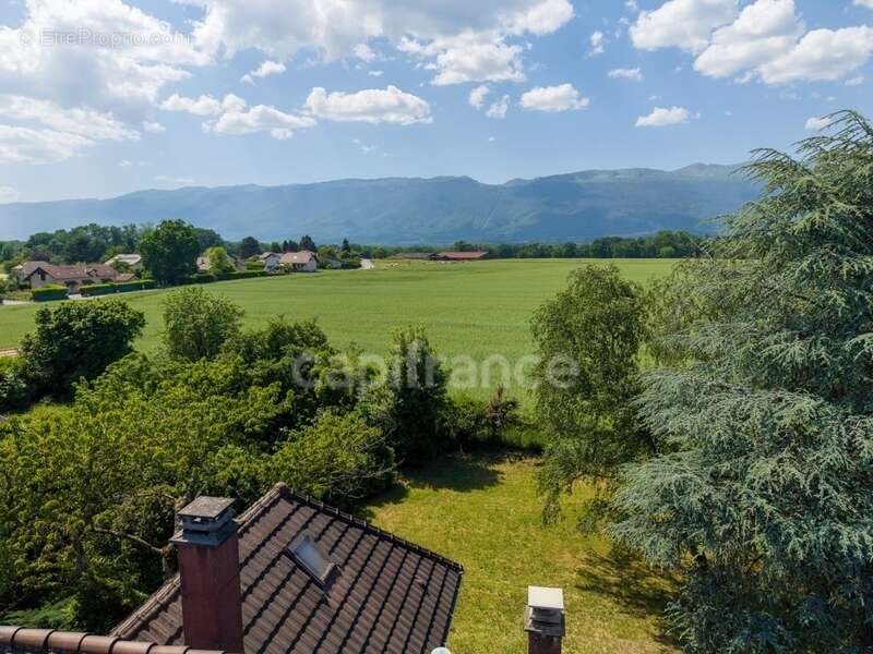 Maison à PREVESSIN-MOENS