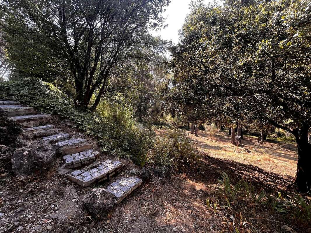 Photo 4 - Maison à VIDAUBAN