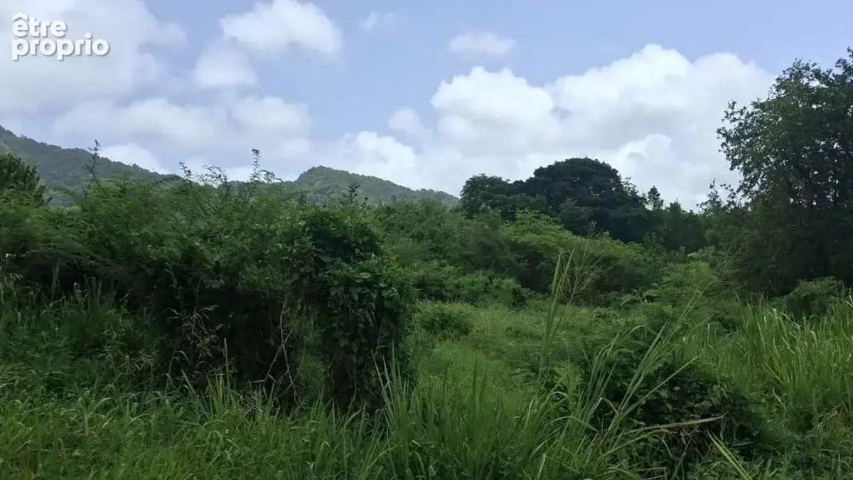 A vendre terrain constructible de 1134m2 - photo 1