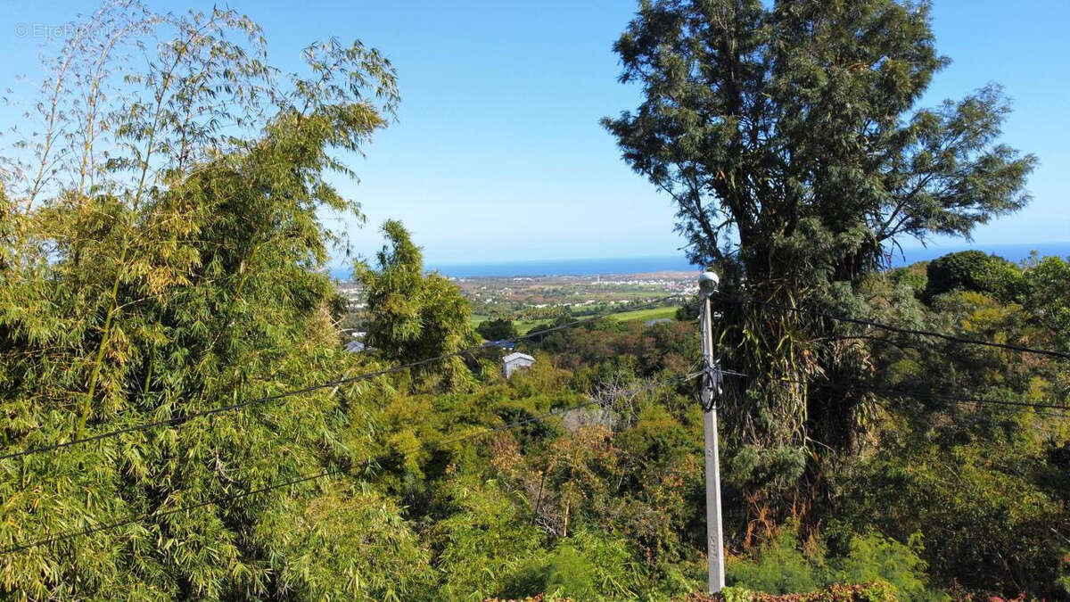 Maison à SAINT-LOUIS