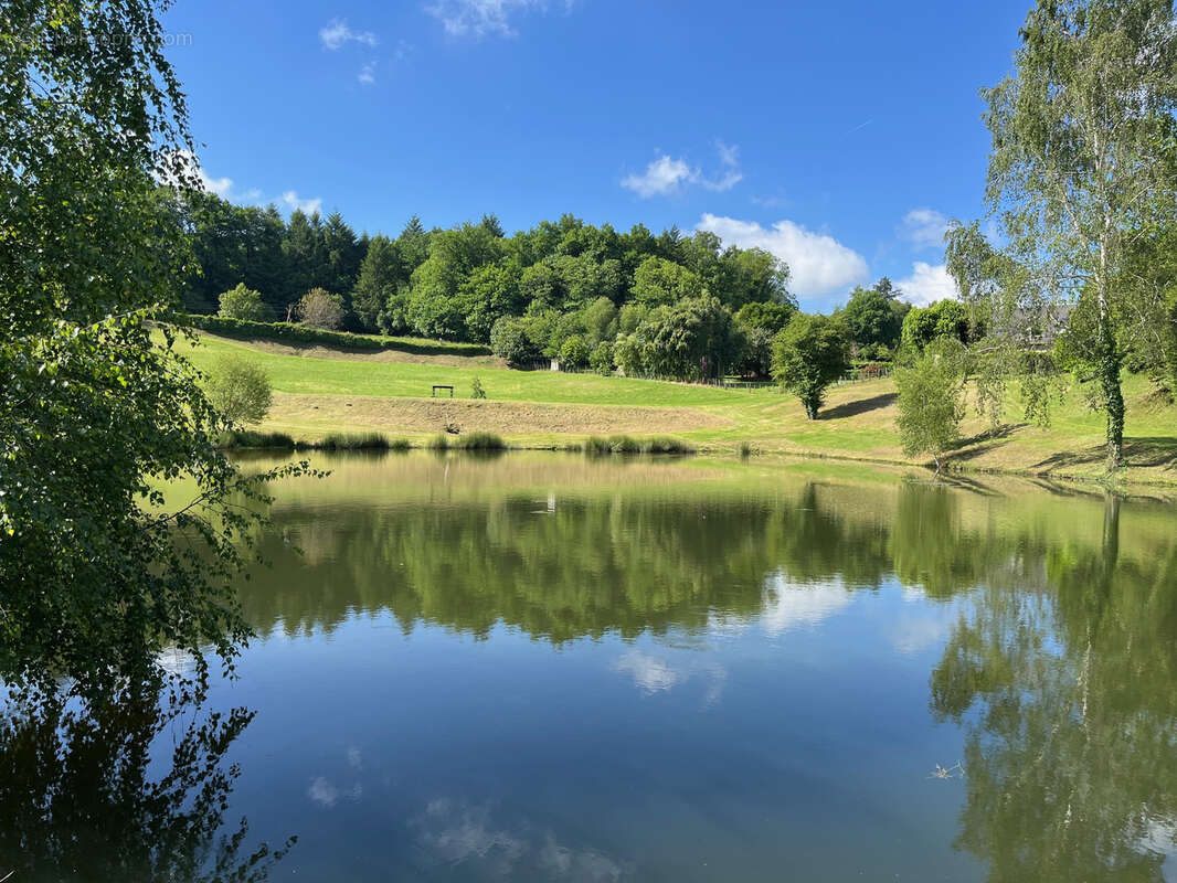 Terrain de 1,8 Hectare avec Deux Étangs près de Coussac-Bonneval (Non Constructible) - photo 3