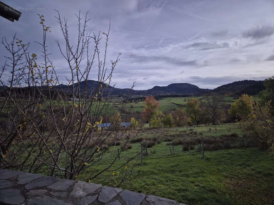 St Julien Chapteuil, ferme rénovée au cœur de la nature - photo 7