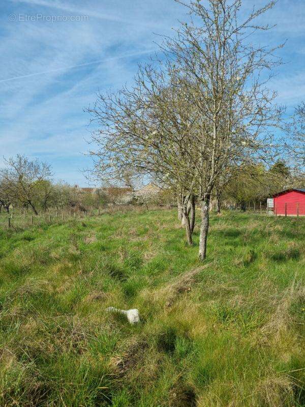 FERMETTE 70 m² avec une TRES BELLE GRANGE refaite a neuf - photo 10