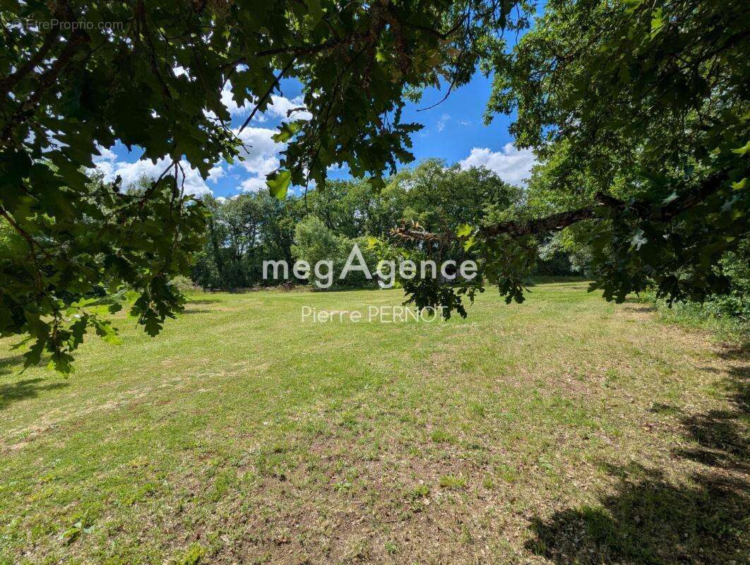 Gîte en Pierre sur Parc de 2,6 hectares - photo 14
