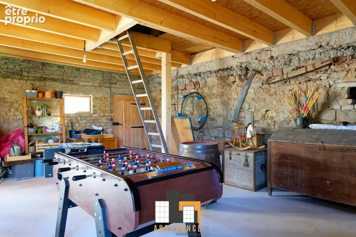La Wantzenau Village charme et modernité pour cette maison de 256m2 hab sur 7.77a! - photo 6