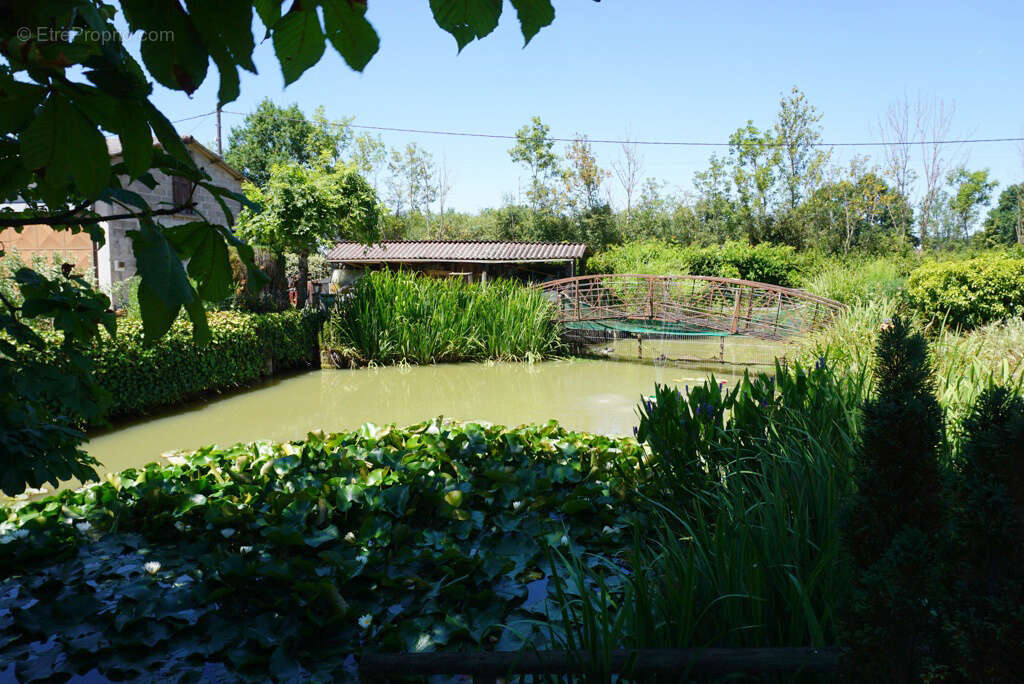 Belle maison familiale de 196 m2 avec dépendances et agréable terrain - photo 16