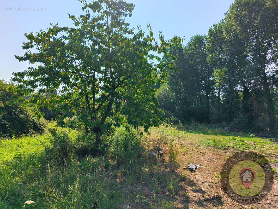 Propriété de caractère, 2,2 hectares, à 6 km de Dinan ! - photo 15