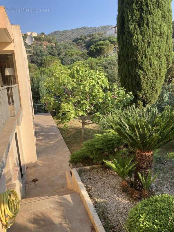 Maison 174 m² à Mandelieu-La-Napoule  - photo 6